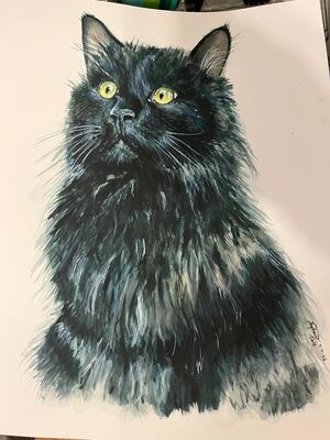 Binx Watercolor - Stephanie Adams